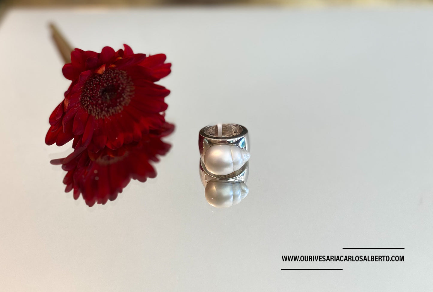 Anel ouro branco Ourivesaria Carlos Alberto