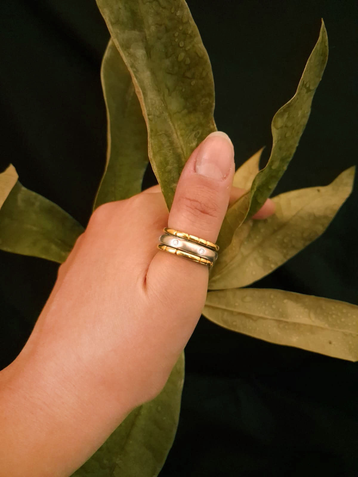 Anel ouro branco e amarelo c/diamantes- tipo aliança Ourivesaria Carlos Alberto