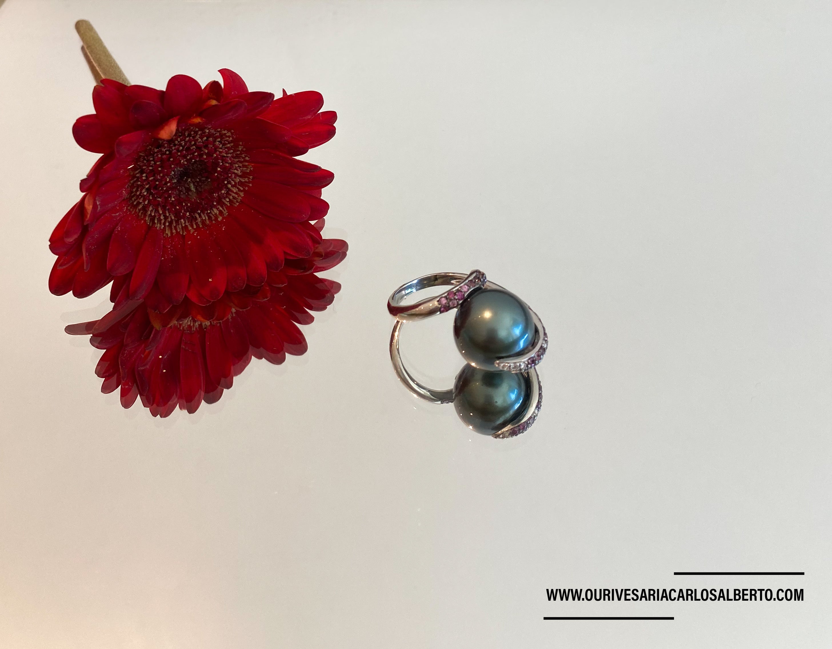 Anel em ouro Ourivesaria Carlos Alberto